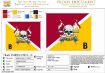 Picture of The Royal Lancers B Squadron Flag 36" by 30"