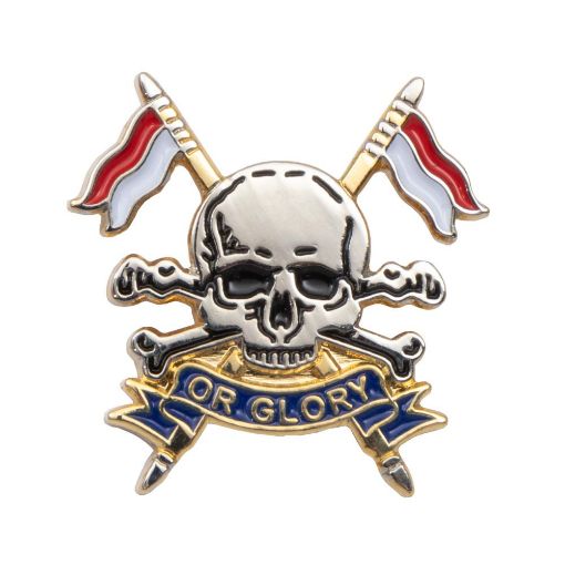 Picture of The Royal Lancers Lapel Pin - Gilt/Silver Plate - Plastic Box