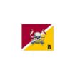 Picture of The Royal Lancers B Squadron Flag 36" by 30"