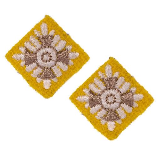 Picture of The Royal Lancers Yellow Star - Brown/Cream - Pairs